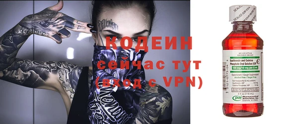 стафф Корсаков