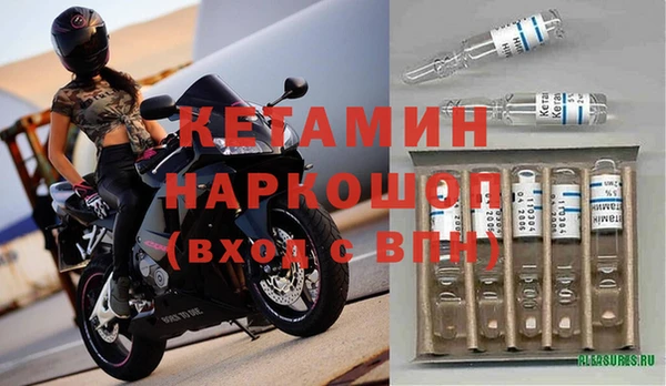 стафф Корсаков