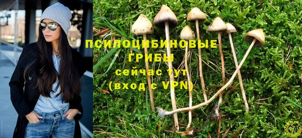 бошки Козельск