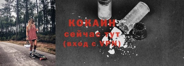бошки Козельск