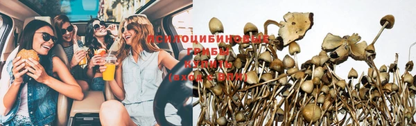стафф Корсаков