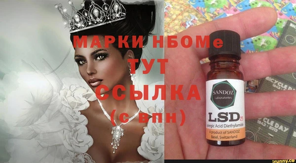 стафф Корсаков